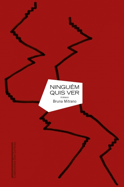 Capa do livro Ninguém quis ver, de Bruna Mitrano (2023)